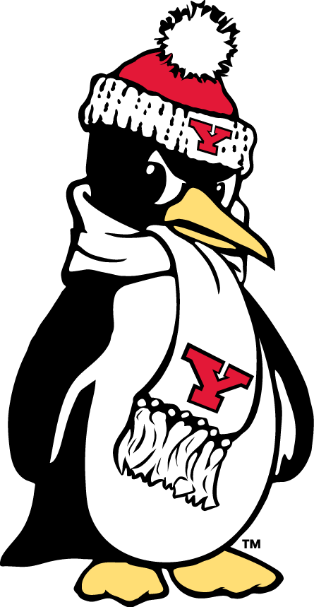 Youngstown State Penguins 1993-Pres Alternate Logo v7 iron on transfers for fabric